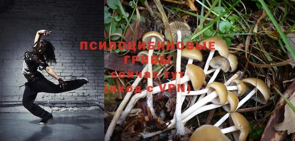 ECSTASY Алексин