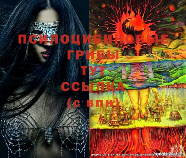 ECSTASY Навашино