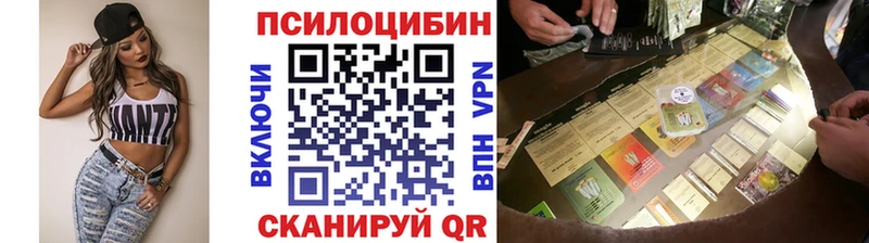 Галлюциногенные грибы Psilocybe  Купить закладки  Козельск 